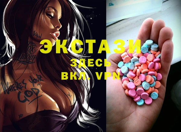 дживик Ельня