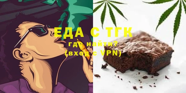 дживик Ельня