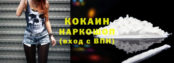 дживик Ельня