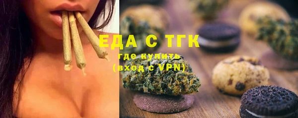 дживик Ельня