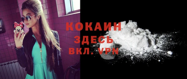 дживик Ельня