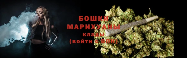 дживик Ельня