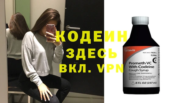 дживик Ельня