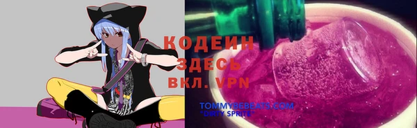 дживик Ельня