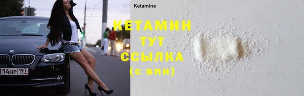 дживик Ельня