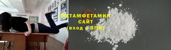 дживик Ельня