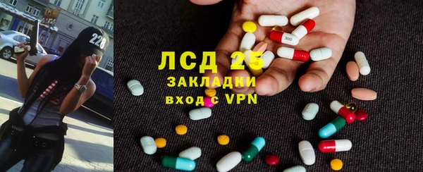 дживик Ельня