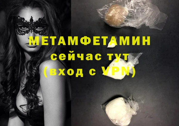 дживик Ельня