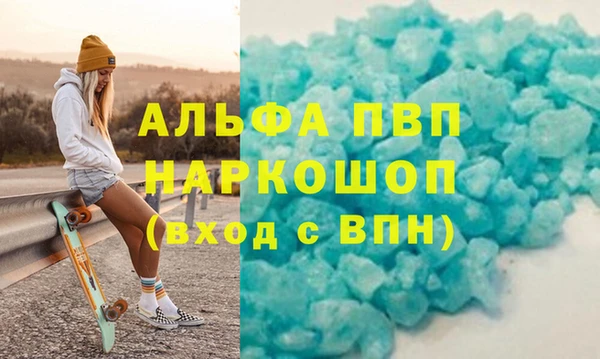 дживик Ельня