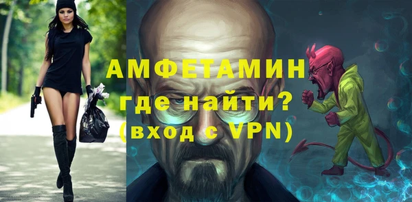 дживик Ельня