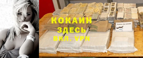 трава Елизово