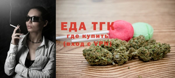 дживик Ельня
