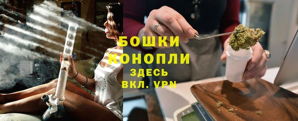 трава Елизово