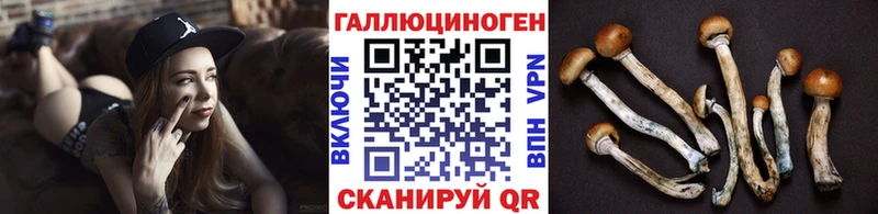 как найти наркотики  Домодедово  Галлюциногенные грибы Magic Shrooms 