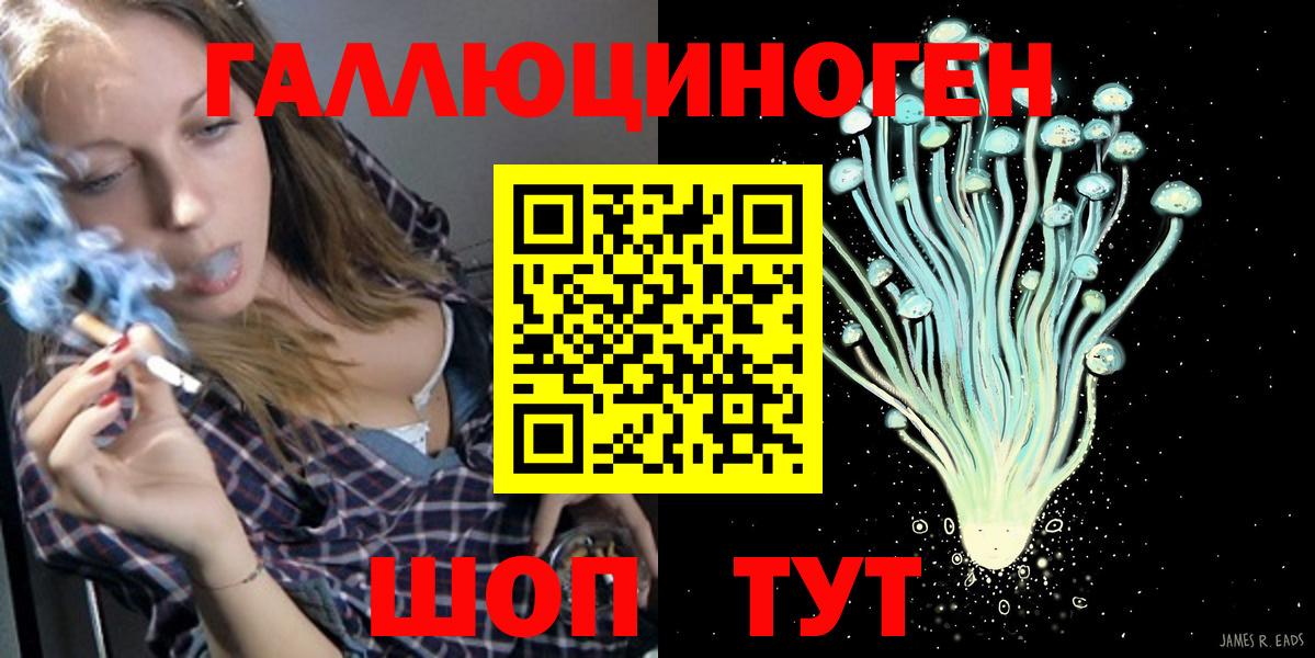 Галлюциногенные грибы мицелий  Домодедово  Псилоцибиновые грибы Psilocybe 